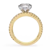 Halo Embrace Ring 14k